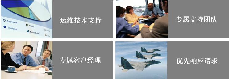 (图1)
